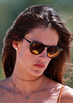 2015 Wildfox<br>Steff Deluxe Tortoise Sunglasses